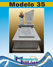 Modelo 35